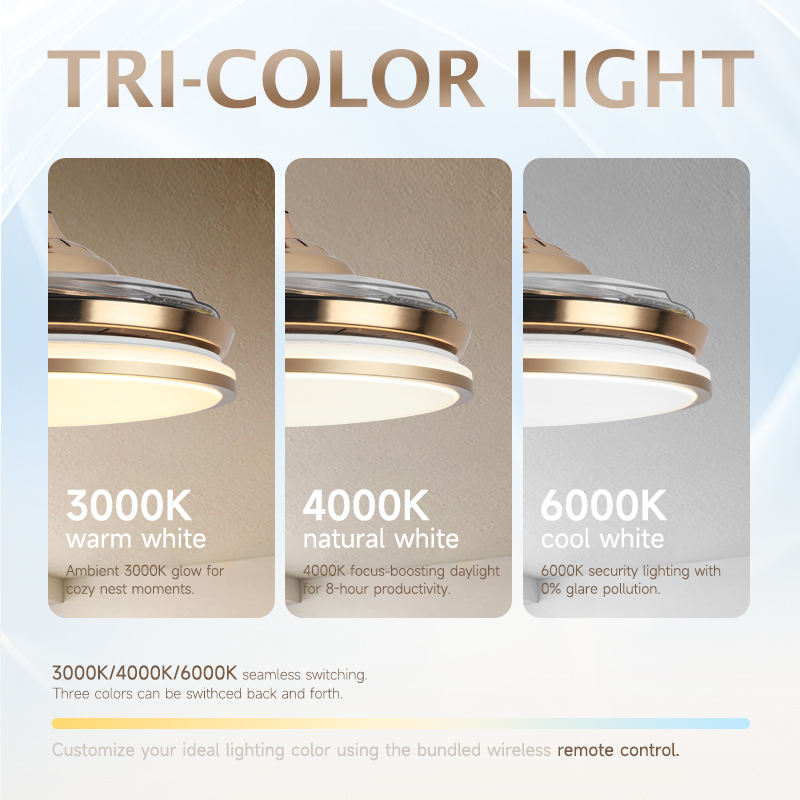 Household Invisibility Fan Chandelier