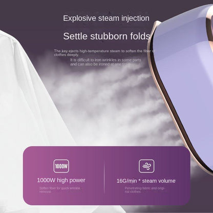 Steam iron with both dry and wet ironing functions